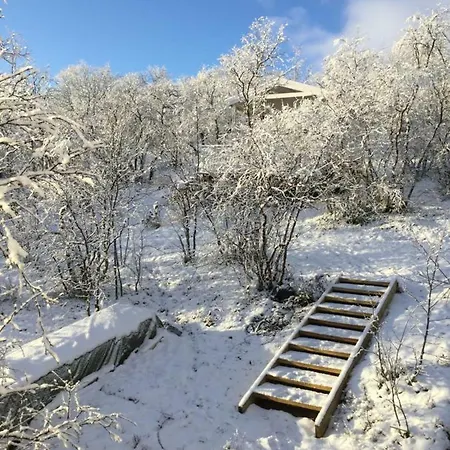 Eira Siida Cabins Hytte